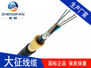 網(wǎng)絡(luò)基礎(chǔ)設(shè)施基石 淺析光纖電纜在現(xiàn)代傳輸中的關(guān)鍵作用與展望